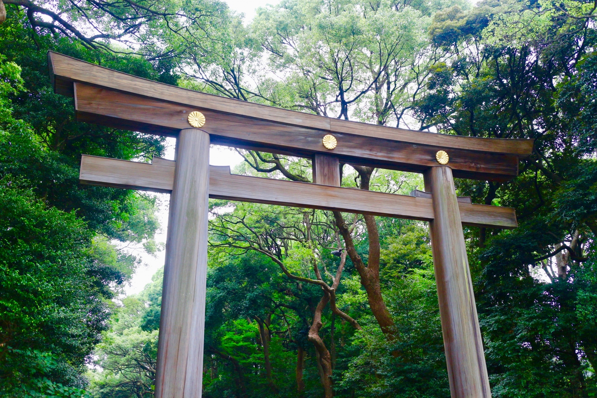 明治神宮鳥居